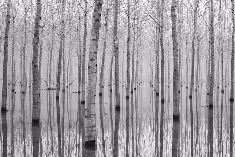 Cuadro Hexoa de naturaleza otoñal con paisaje de patas en el agua, impresión fotográfica sobre lienzo de 90 x 60 cm