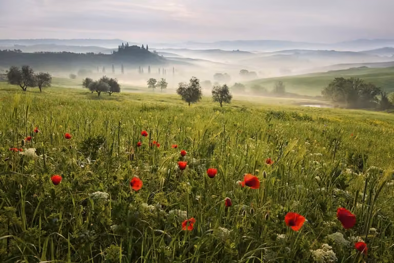 Cuadro de paisaje de naturaleza primavera toscana de Hexoa, impresión sobre lienzo multicolor, An: 90 cm, Al: 60 cm